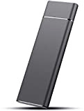 16TB Mobile Solid State Drive, External Solid State Drive High Speed Portable SSD Compatible with PC, Laptop and Mac (16TB, ...