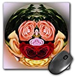 3DROSE LLC 20,3 x 20,3 x 0,6 cm decorative Colorful Garden Botanic Paperweight Globe Abstract Flower Roses mouse pad (MP 128228 _ 1)