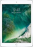 Apple iPad (5a Generazione) 32 GB Wi-Fi + Cellular - Argento (Ricondizionato)