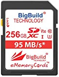 BigBuild Technology - Scheda di memoria UHS-I U3, 95 MB/s, 256 GB, per Canon EOS 1200D, 1300D, 200D, 200D, 4000D, ...