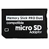 Cablepelado - Adattatore di scheda Micro SD a Memory Stick, colore nero