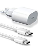 Caricabatterie rapido USB C con iPad Pro, 20W USB C Caricatore Ricarica Adapter Cavo USB C a Type Alimentatore Compatibile ...