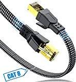 Cavo Ethernet Cat 8 10Metri,SWECENT Piatto Nylon 40Gbps 2000MHz Alta Velocità, Cavo Lan, Cavo di Rete, FFTP, per Gaming PS4 PS5 ...