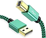 Cavo Stampante USB 2M 2.0 Cavo per Stampante USB Tipo A Maschio a Tipo B Maschio 2 Metri, Nylon Cavo ...