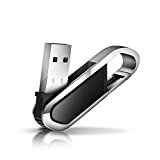 Chiavetta USB 128 GB, Ansodo Pennetta USB 128 GB Metallo USB Key 128 Giga con portachiavi Pen Drive 128gb per ...