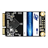 Dogfish Msata SSD 240GB Interno Allo Stato Solido Drive Desktop Portatile Ad Alte Prestazioni Hard Disk (MSATA 240GB)
