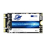 Dogfish SSD M.2 2242 120GB Unidad De Estado Sólido Incorporada Height PC Unità a Stato Solido Integrata Interno MLC Desktop ...