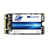 Dogfish SSD M.2 2242 1TB NGFF unità a Stato Solido Interne Drive Disk Internal Interno Solid State Drive Laptop Hard ...