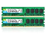 DUOMEIQI Kit da 4 GB (2 X 2 GB) 2RX8 DDR2 667MHz DIMM PC2-5300 PC2-5400 CL5 1.8v 240 PIN 5300U ...