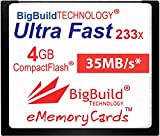 eMemoryCards Scheda di memoria 4GB Ultra Fast 35MB/s CompactFlash compatibile con Canon 10D/20D/30D/40D/50D/1D/1Ds/5D/5Ds/7D Mark I/II/III/IV, Nikon D, Olympus E, Sony ...