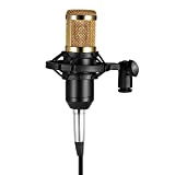 Festnight Microfono BM800 Set condensatore con Microfono Microfono Shock Mount e Microfono da 3,5 mm con Cavo Audio Sponge