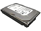 Hard disk interno Barracuda 3.5'' - 500 GB (ST500DM002) + Docking station BEHEDEX32U2 - USB 2.0