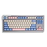 Keycaps 237 tasti Doppio colpo SA Profilo ANSI/ISO Layout Blue Pink Bubble 6.25u/7u Space Bar Adatto per tastiera meccanica GH60 ...
