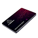 KingShark SSD 120GB SATA 2.5" Portatile all'Interno del Disco allo Stato Solido Ad Alte Prestazioni Hard Disk SATA III 6Gb/s ...