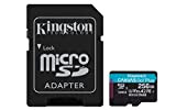 Kingston SDCG3/256GB Scheda di Memoria microSD, 256GB microSDXC Canvas Go Plus 170R A2 U3 V30, Adattatore SD Incluso