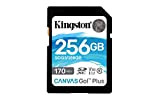 Kingston SDG3/256GB Scheda di Memoria SD (256GB SDXC Canvas Go Plus 170R C10 UHS-I U3 V30)
