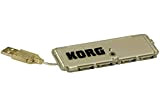 Korg Nano HUB USB