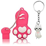 Lynneo - Chiavetta USB a forma di zampa di gatto rosa da 64 GB, con un portachiavi in omaggio, ideale ...