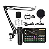 ManTT Microfono Un Condensatore Professionale BM800 Wireless Bluetooth V10 PRO Scheda Audio per PC Computer Telefono Karaoke(Nero)