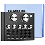 Mixer Audio Scheda Audio Esterna, Console DJ Card Sound Professionale Mini Scheda Audio Esterno Esterne USB per PC dal vivo, ...