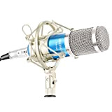 Neewer® NW-800 - Set di microfoni con microfono a condensatore professionale NW-800 + 1 supporto per microfono, 1 tappo in ...