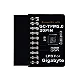 NewHail Modulo TPM2.0 LPC 20Pin Modulo con Infineon SLB9665 per scheda madre Gigabyte compatibile con GC-TPM2.0