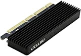 NVMe PCIe Adattatore (Aggiornato), RIITOP M.2 (Chiave M) NVMe a PCI-e 3.0 x4/x8/x16 Scheda convertitore con dissipatore di calore per ...