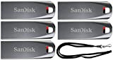 SanDisk 16GB (5 Pack) Cruzer Force USB 2.0 Flash Drive SDCZ71-016G Bundle with (1) GoRAM Black Lanyard