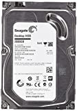Seagate Desktop HDD ST2000DM001 - hard disk - 2 TB - SATA 6Gb/s