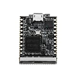 Sipeed Lichee Nano ARM Single Board Computer Allwinner F1C100s Supporto Linux, Xboot, RT-Thread RTOS & Melis OS