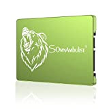 Somnambulist ssd sata 2tb 480gb 60gb 240gb 120gb 960gb 2tb SATA3 disco rigido disco SSD da 2,5 pollici (orso verde ...