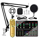 TAGA DJ 10 Set di Schede Audio BM800 Mic Studio Microfono Un Condensatore per Karaoke Podcast Registrazione Streaming-A