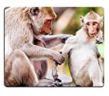 Tappetini per Il Mouse Scimmia con Un Bambino a Khao Wang e Phra Nakhon Khiri Historical Park Phetchaburi è Tappetino ...