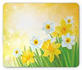 Tappetino per mouse Daffodil, Narcisi Garden Narcissus Rebirth and New Beginnings Celebration Graphic, Tappetino per mouse rettangolare in gomma antiscivolo, ...