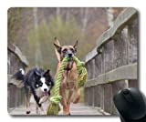 Tappetino per mouse personalizzato, Cute Dogs, Malinois e Border Collie Pastore belga, cani Tappetino per mouse da gioco
