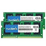 TECMIYO 4GB Kit (2x2GB) DDR2 667MHz PC2-5300 PC2-5400 DDR2 667 (200 PIN) SODIMM Laptop Memory