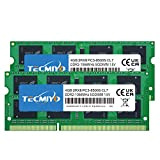 TECMIYO Compatible with Apple 8GB Kit (2x4GB) DDR3 PC3-8500 1066MHz Memory Upgrade for iMac 20 inch /21.5 inch/24 inch /27 ...