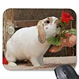Yanteng Mouse pad gaming mouse mousepad Lovely Rabbit Mousepad Serie A Rose is A Rose Mouse Pad Bunny Coniglio Mouse ...