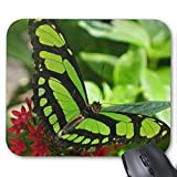 Yanteng Tappetino per mouse Tappetino per mouse verde Butterfly