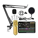 YUMIN Microfono Un Condensatore Professionale BM800 Wireless Bluetooth V10 PRO Scheda Audio per PC Computer Telefono Karaoke (Oro)